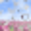 Icono de programa: Diamond Butterflies Live …