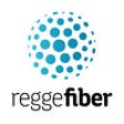 Icono de programa: Reggefiber PoP toegang