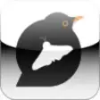 Icon of program: Hungry Birds EDU