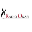Icon of program: OKAPI Congo