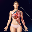 Icon of program: XrayOn: Body Scanner Simu…