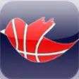 Icon of program: Hoops Zone - Twitter for …