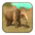 Icon of program: Wild Elephant Sim 3D