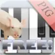 Icon of program: Pig Piano Free