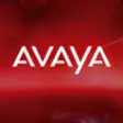 Icon of program: Avaya Messaging Service