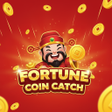 Fortune Coin Catch icon