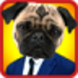 Icono de programa: Animal Face