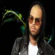 Icon of program: Chris Brown Songs Offline…