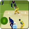 Icon of program: Play IPL Cricket Game 201…