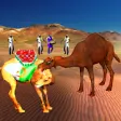 Icon of program: Camel Champion Fighting: …
