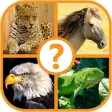 Icon of program: Animal Trivia Quiz - Gues…