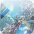 Icon of program: Reef Aquarium 2D/3D free