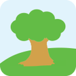 Icon of program: Timber Calculator Plus