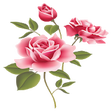 Icono de programa: WAStickerApps - Flowers