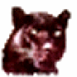 Icon of program: ReelyWild