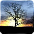 Icono de programa: Silhouette Donation