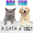 Icon of program: Test what cat or dog am I…