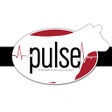 Icon of program: ThePulse powered by Sulli…