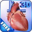 Icono de programa: My Heart Anatomy