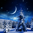 Icon of program: Winter Night Wallpaper