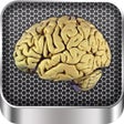Icon of program: Brain Anatomy