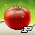 Icon of program: Purdue Tomato Doctor