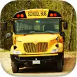 Icon of program: School Bus Driving 3D