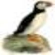 Icon of program: PuffinPlot