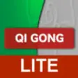 Icon of program: Qi Gong yi jin jing lite