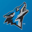 Icon of program: CSU San Bernardino Coyote…