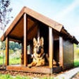 Icon of program: How To Build A Dog Kennel