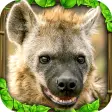 Icon of program: Hyena Simulator