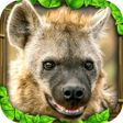 Icon of program: Hyena Simulator