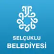 Icon of program: Seluklu