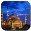 Icon of program: Mosque Sultan Ahmed Wallp…