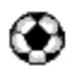Icon of program: Soccer Roster Organizer