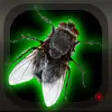 Icon of program: Where's that Fly?