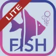 Icon of program: Fish Bait Lure Lite Quiz …