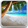 Icon of program: Tropical Beach Live Wallp…