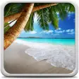 Icon of program: Tropical Beach Live Wallp…