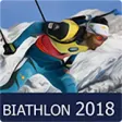 Icon of program: Biathlon Manager 2018