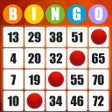 Bingo Free Bingo Games - play offline no wifi icon
