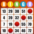 Icon of program: Bingo Free Bingo Games - …