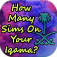 Icono de programa: SIms On Iqama of Saudi Ar…