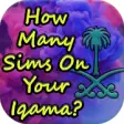 Icon of program: SIms On Iqama of Saudi Ar…