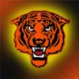 Icon of program: Princeton Tigers Hockey