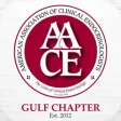 Icon of program: AACE Gulf Chapter