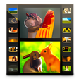 Icon of program: Photo Video-Photo Slidesh…