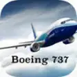 Icon of program: Boeing 737-700/800/NG Sys…