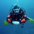 Icon of program: Guide to Scuba Diving